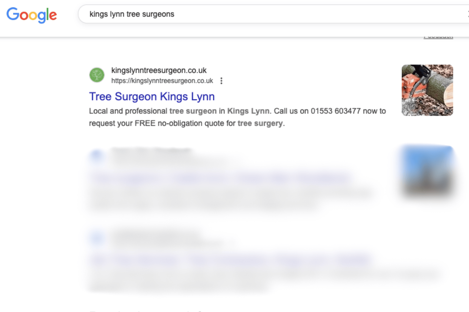 The Google top search results for Kings Lynn tree surgeons